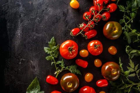 Fresh tomatoes Stock Photos