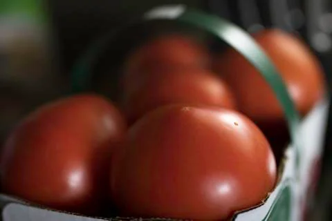Fresh Tomatoes Stockfoto's