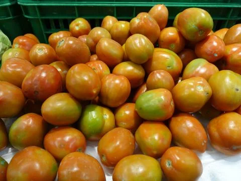 Fresh tomatoes Stock Photos