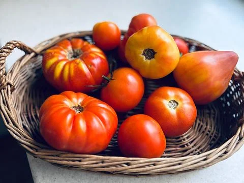 Fresh tomatoes Stock Photos