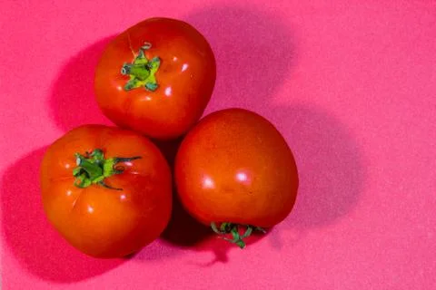 Fresh tomatoes presented on red background, creative concept with copy space Stock Photos