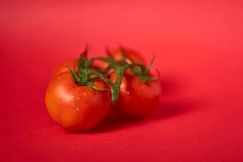 Fresh tomatoes on a red background Stock Photos
