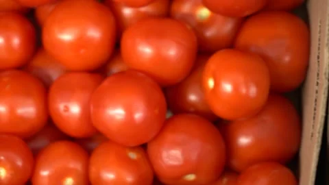 Fresh tomatoes on the shelf Video stock 156855171