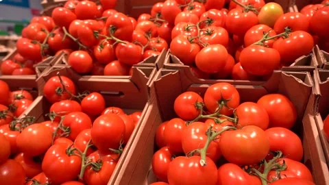 Fresh tomatoes on the shop counter Video stock 165745546