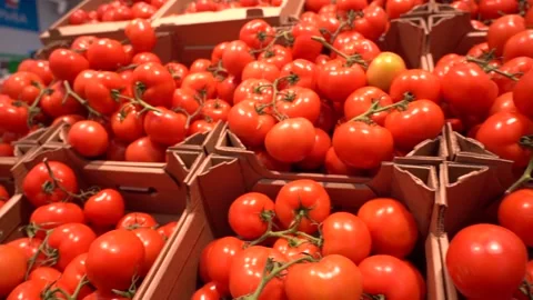Fresh tomatoes on the shop counter Stock Footage 166996014