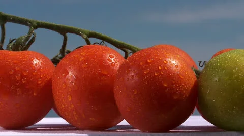 Fresh tomatoes, spritz Vidéo 23167839