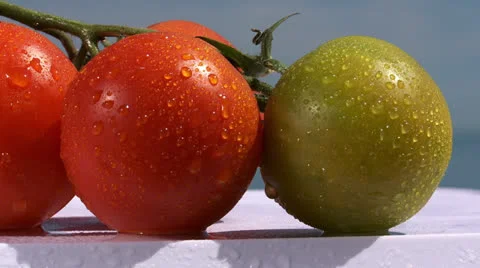 Fresh tomatoes, spritz 動画素材 23167944