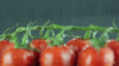 Fresh tomatoes for which the water falls.Shooted with a slider Stock Footage 59310921