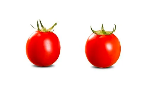 Fresh tomatoes on white background. Front view Stock Photos