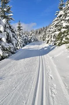 Fresh track for cross-country skiing through the forest with lots of snow Stock Photos