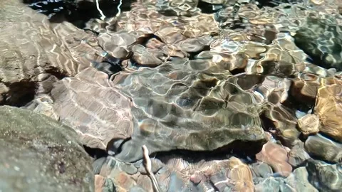 Fresh Tropical Forest Stream Flowing Over Rocks Stock Footage 329770785