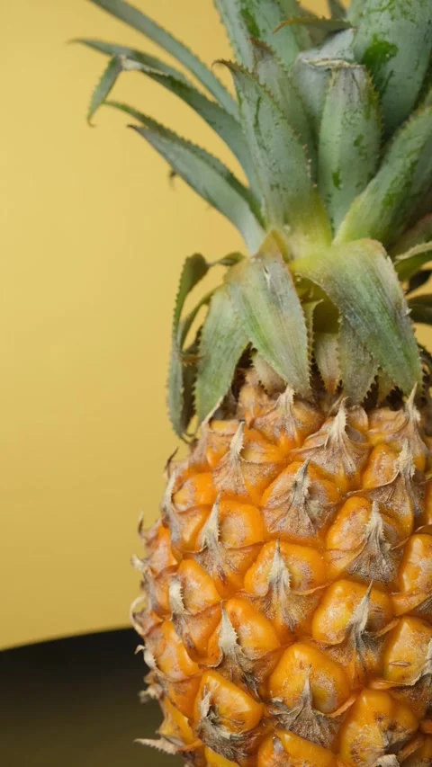 Fresh tropical fruit pineapple turning close up, vertical text space view. Stock Footage 340167259