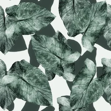 Fresh tropical  leaf seamless pattern design Stock Photos