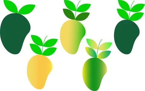 Fresh tropical mango fruit vector icons with green leaves organic food design Stock Illustration