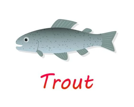 Fresh Trout fish in flat style, vector Stock Illustration