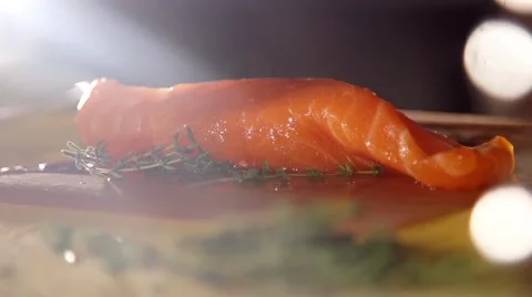 Fresh trout fish in slow motion Stock Footage 67858799