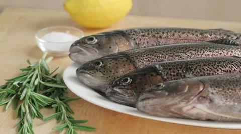 Fresh trout Stock-Footage 24665492