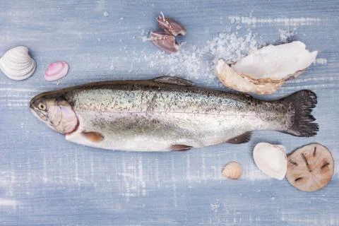 Fresh trout. Stock Photos