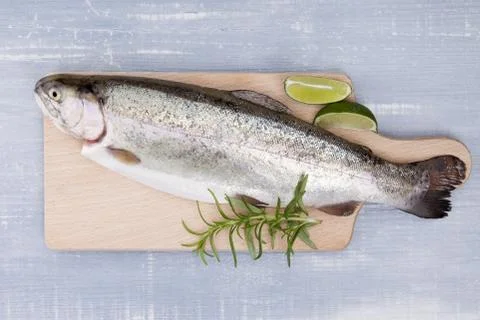 Fresh trout. Stock Photos