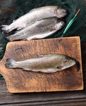 Fresh trout Stock Photos