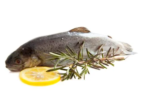 Fresh trout Stock Photos