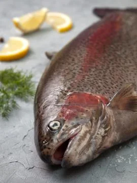 Fresh trout Stock Photos
