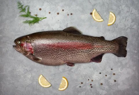 Fresh trout Stock Photos