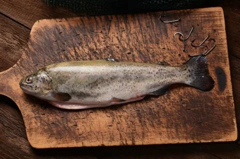 Fresh trout Stock-Fotos