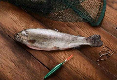 Fresh trout Stock-Fotos