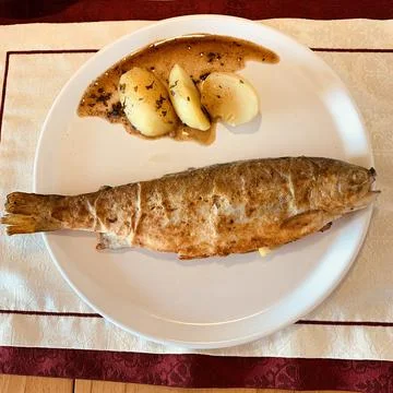 Fresh trout Stock Photos