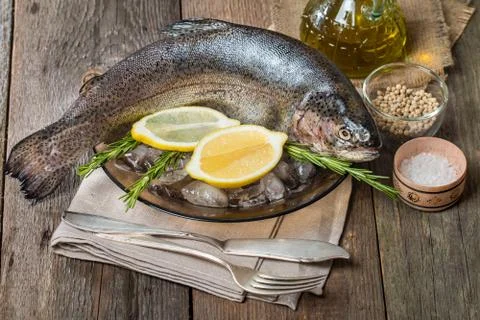 Fresh trout on plate with ice Stock Photos