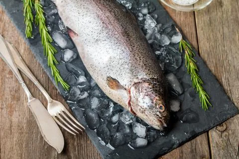 Fresh trout with rosemary and lemon Stock Photos