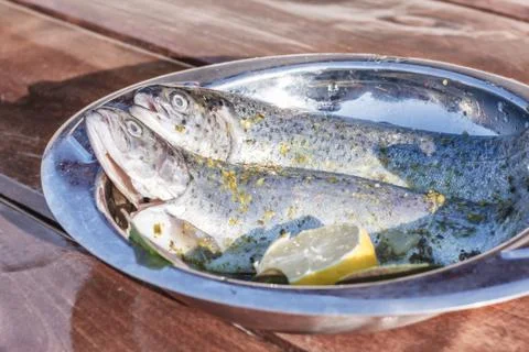 Fresh trouts Stock Photos