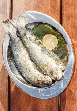 Fresh trouts Stock Photos