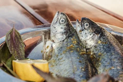 Fresh trouts Stock Photos