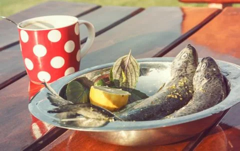 Fresh trouts Stock Photos