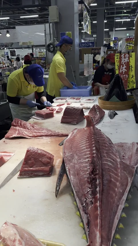 Fresh Tuna Stock Footage 317530426