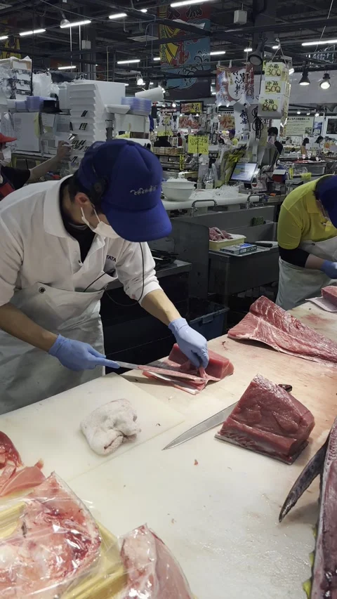 Fresh Tuna Stock Footage 317530472