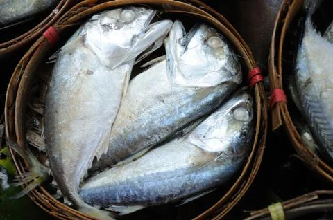 Fresh tuna package Stock Photos