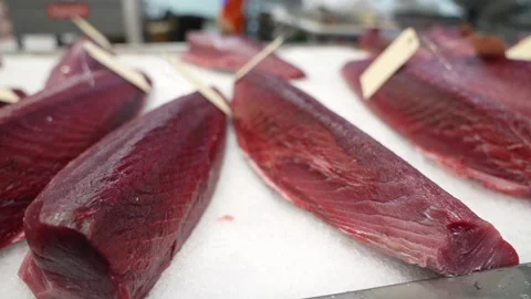 Fresh Tuna Seafood Market Processing Facility Stock Footage 345099097