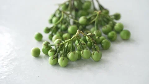 Fresh turkey berries on the stem placed on a clean white surface Stock Footage 337976474