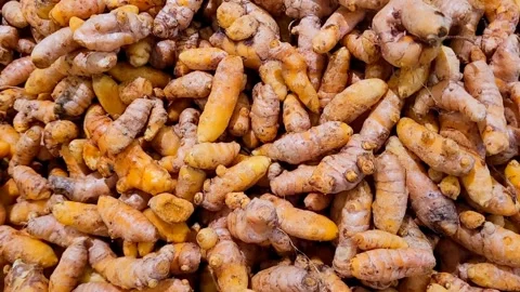 Fresh Turmeric Root Stock Footage 320146287