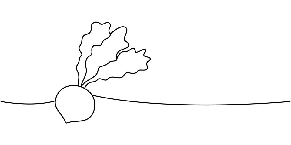 Fresh turnip one line continuous drawing. Organic vegetable. Vector illustration Stock Illustration