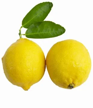 Fresh two lemon isolated on white background. Stock Photos