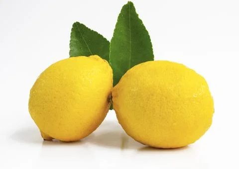 Fresh two lemon isolated on white background. Stock Photos