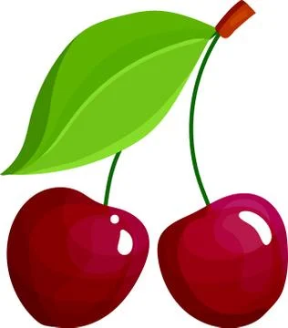 Fresh two pieces of cherry on white background - vector-eps Stock-Illustration