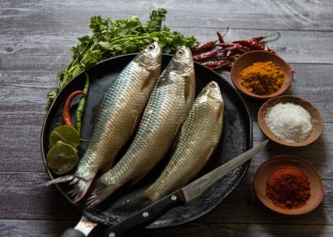 Fresh uncooked fish Stock Photos