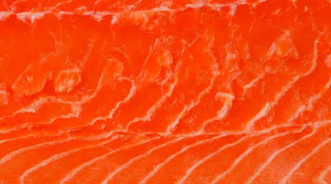Fresh uncooked salmon fillet Vídeos de archivo 24962884
