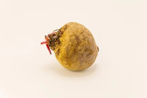 A fresh, unpeeled beet root, showcasing its natural form and earthy texture,  Stock Photos