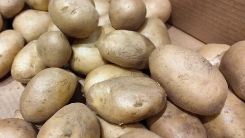 Fresh Unwashed Potatoes in Box Stock Footage 284147173